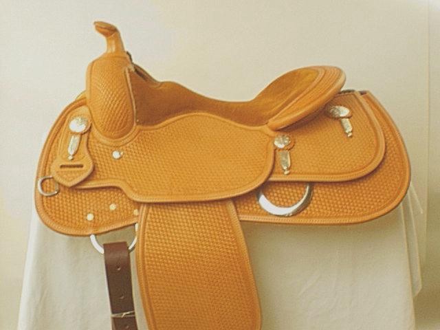 Used Saddle:- Image Number:0